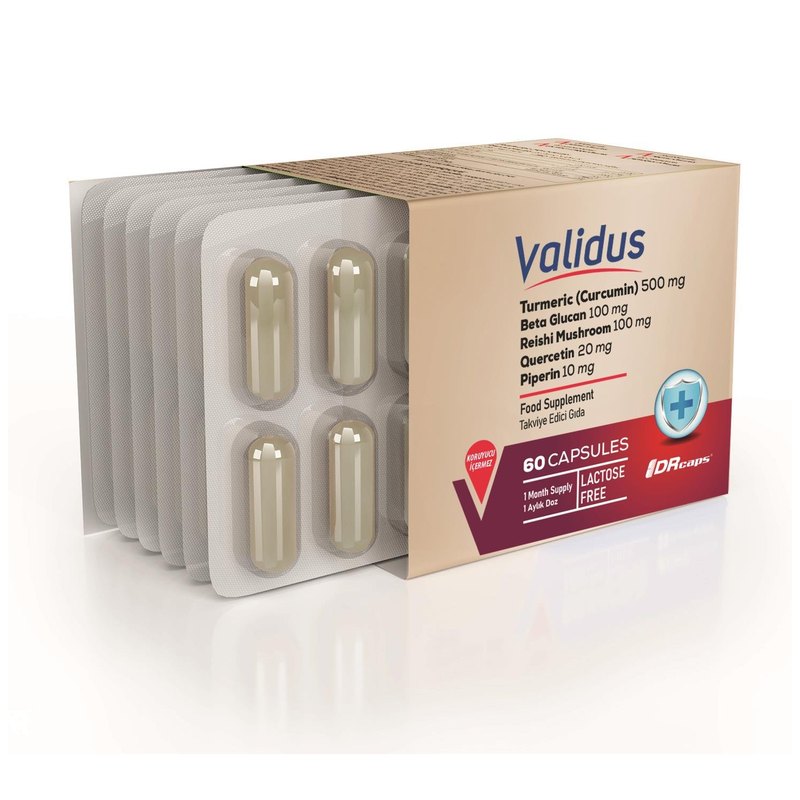Validus Curcumin 500 mg + Piperin + Inula Henelium + Astragalus + Quercetin + Reishi + Moringa 60 Capsules (Drcaps)