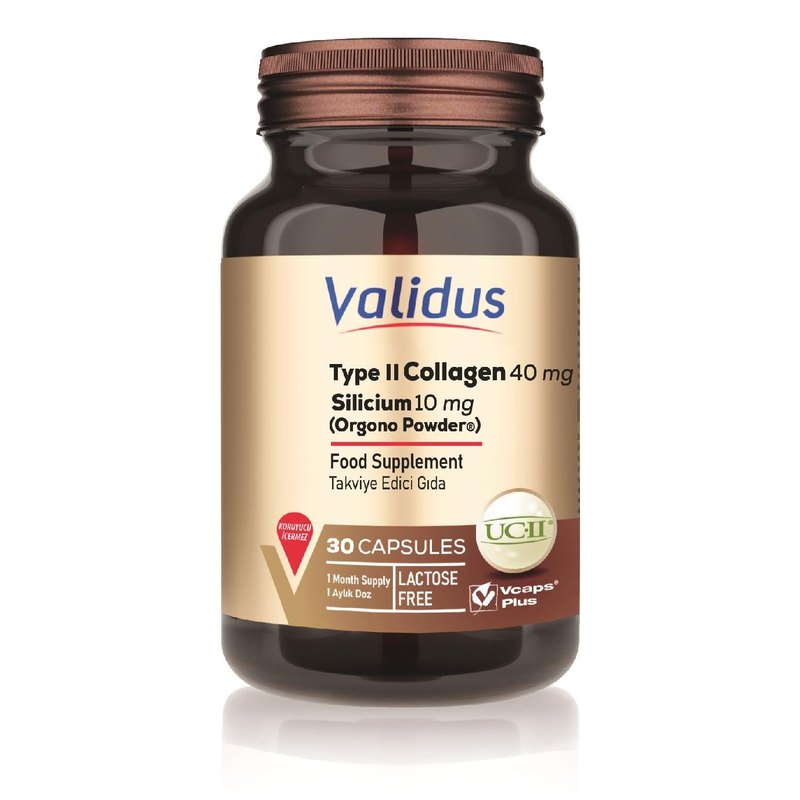 Validus Type II Collagen 40 mg + Silicium 10 mg 30 Capsules